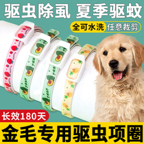 Golden hair special neck ring dog insect repellent puppy insect anti-mosquito insect insect repellent neck ring ring