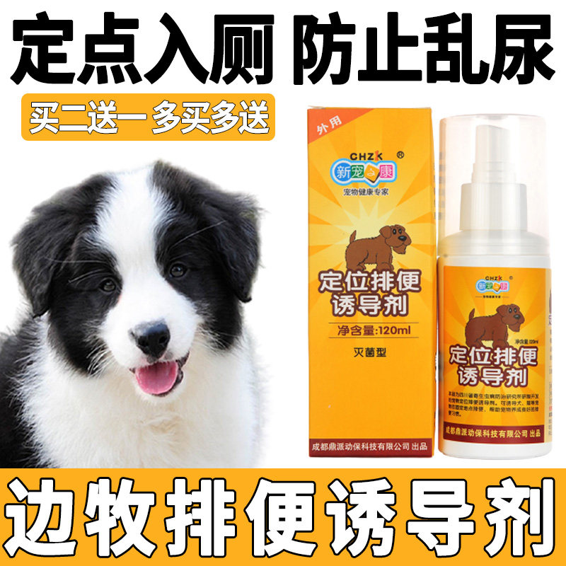 Border Shepherd dog training Upper toilet Pinpoint Defecation Inducers Prevent Pet Dogs From Messy And Urinate Urine and Relieve God