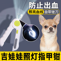 Chihuahua special nail claw claw plate toenails for hemorrhage-proof nails cut off bloodline small dog fingernails