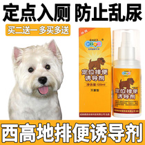 West Highland Puppy Upper toilet Targeted Defecation Inducers to Prevent Pet Dogs Messy to Defecate Open Defecation