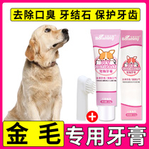 Golden dog toothpaste with odd breath edible pet toothbrush large dog toothbrush to toothbrush special products finger suit