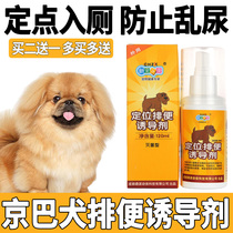 Kyoba Puppy Training Upper Toilet Pinpoint Defecation Inducing Agent Prevents Pet Dog From Messy Urinate Urine and Relieving God