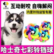 Hasky Dog consumes body puzzle toys self-hi dehydrator large dog interactive colourful ball to tear bite