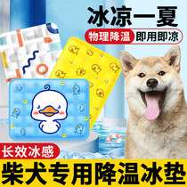 Diesel dog ice cushion ice cushion cooling mattress cushion ice cushion for sleep for chiller