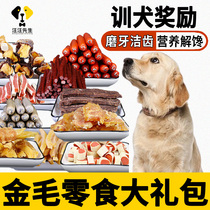 Golden dog training dog snack puppy grinding tooth stick cleaning teeth for two months ham gut snack pack