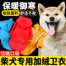 Dog special pet clothes in autumn dog wears autumn cotton clothes in winter thickens puppy in winter