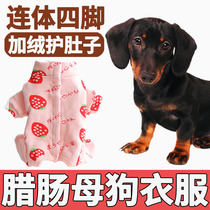 Sausage Small Pooch Autumn Winter Clothes Clothing 2021 New Mother Dog Full Bag Belly Plus Suede Four-foot Thickened Cotton Clothes