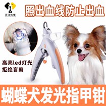Butterfly dog special small dog nail clippers anti-bleed nail clippers with lamp photos blood line pet supplies Great all