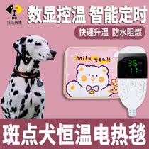 Spot Dog Pets Small Dogs Special Winter Electric Blanket Pyjamas Waterproof not stained with woolen heating Heating mat Large number