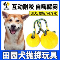 Zhonghua Dog Bite Toy Hard-Knowing Dementing Archives Has Has Tear Outdoor Interactive Ball