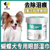 Butterfly dog dedicated to tear marks to remove artifacts with eye care cleaning wipes