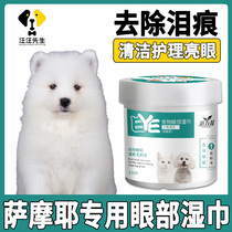 Samoye uses dogs to tear marks to remove artifacts with eye care cleaning wipes