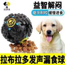 Labrador dogs leaky toy puzzle-puzzling interactive theorist large canine self-fun to play with yourself