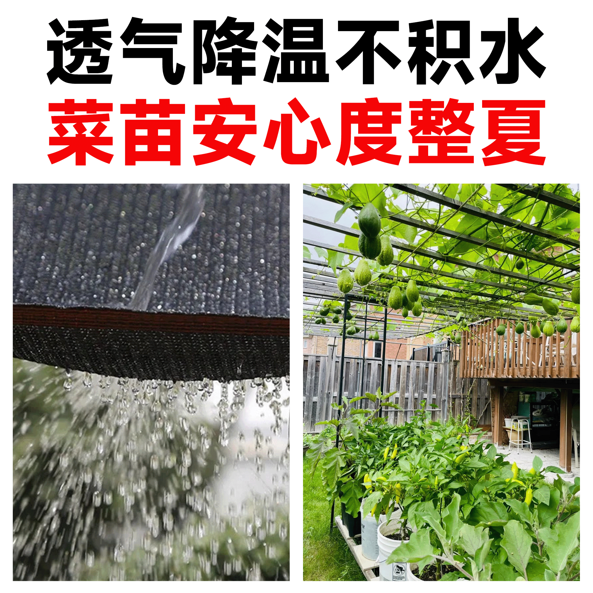 遮阳网种菜大揭秘：黑网蔬菜防晒网，菜地农用植物遮阴网，大棚太阳网全解析