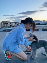 Long sleeve shirt Womens 2021 new wild early autumn coat design sense long loose lazy style solid color shirt