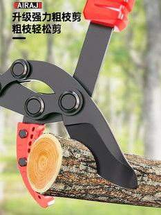 Полынь великолепная Резать филиал специальный ножницы Садоводство палочки ножницы плодовое дерево Ветви и грубое садоводство филиал чернослив Большой ножницы