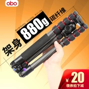 OBO / Ou TS360C sợi carbon chân máy xách tay máy ảnh SLR chân máy điện thoại chụp ảnh tự sướng chụp ảnh du lịch - Phụ kiện máy ảnh DSLR / đơn