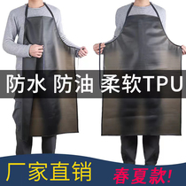 Back kitchen wear-resistant TPU food waterproof apron oil-resistant acid-resistant acid-resistant men and women work disposable apron
