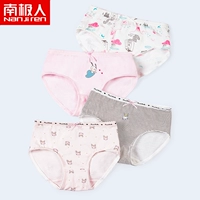 [Набор из четырех штук] Кроличий замок