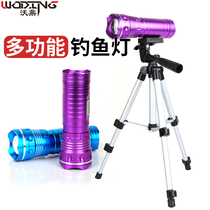 Fighting new fishing lights 10W dual light source night fishing lights rotating zoom fishing supplies