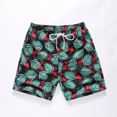 2019 new product Xunlang beach pants men's loose quick-drying boxer swimming trunks five-point couple seaside vacation shorts