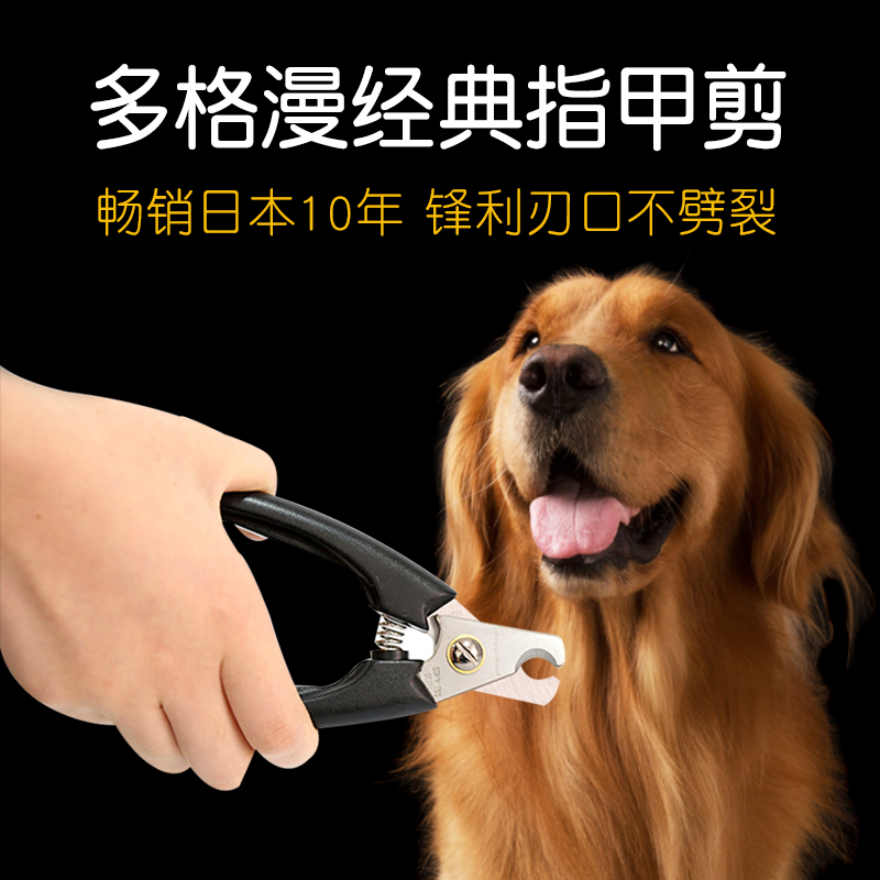 Dog Ma Pet Dog Nail - cut nail - cutter nail - nail clamp of large dog Kim Mao Samoye nail cut