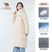 W35CR07005, дуб серый