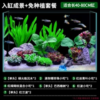 Пейзаж в пластинку без цилиндров [подходит для 40-80 см]]