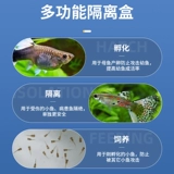 Изоляция рыб Ансорбционная сеть Адсорбционная сеть сети