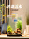 Fish tank filter oxygen-making machine silent water purification circulation three-in-one water pump small wall-mounted waterfall filter