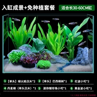 Пейзажи в пакет посадки без цилиндров [подходит для 30-60 см]]