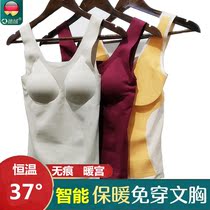 Duvet Without Mark for wearing bra warm vest female body without suede internal wearing with bra pad for plastic body autumn and winter chill