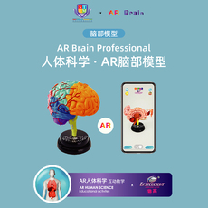 Интерактивная игрушка App 怡高科教可拆卸人体器官模型百科ar互动科教玩具人体科学脑部模型
