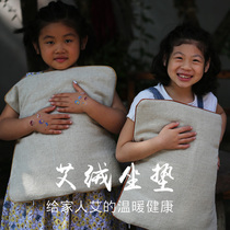 Return to the park Ai health Ai velvet cushion Wormwood cushion Sofa cushion Car office health cushion