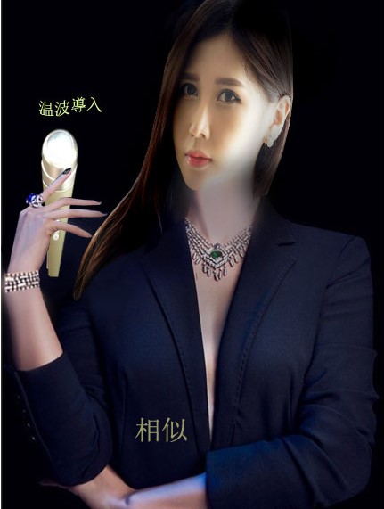 Beauty Importer Ultrasonic Import Instrument Facial Warm Wave Import Instrument Anti-aging Beautician