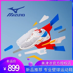 Mizuno, кроссовки для сквоша с амортизацией подходит для мужчин и женщин