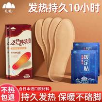 DD spontaneous hot shoe mat female warm feet with walkable walking male warm foot stick winter sole heating shoe mat