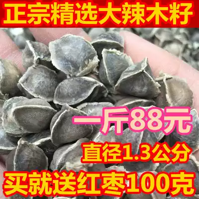 Moringa seeds authentic selection of original ecological large Moringa seeds natural authentic 500g