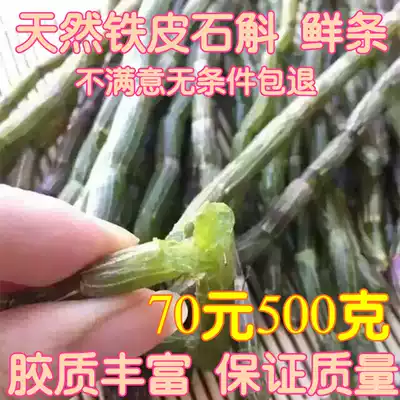 Selected Yunnan authentic Dendrobium candidum fresh strips 500g Dendrobium seedlings fresh strips