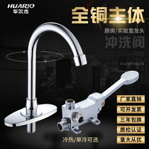  Huarjie Copper hospital Foot faucet Foot valve Basin faucet Kitchen restaurant Laboratory faucet