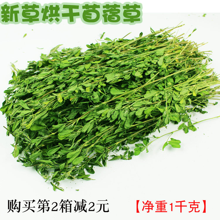 New grass alfalfa grass rabbit food chinchilla guinea pig guinea pig hay feed net weight 1 kg not timothy
