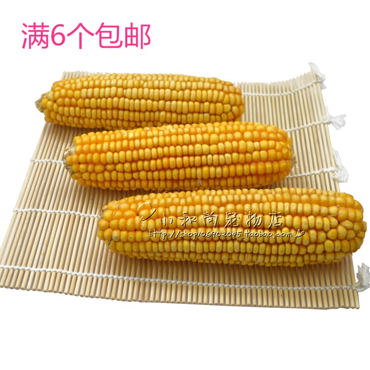 Full of 6 mini corn cob molars and delicious hamster food Rabbit Chinchilla Guinea pig Squirrel molar food bars