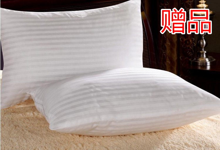 Hàn quốc xương rồng tươi bốn mảnh thiết lập 1.5 tờ 1.8 quilt cover nam và nữ sinh viên ký túc xá 1.2 ba mảnh mùa hè