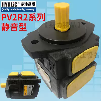 Shoes oil pump vane pump PV2R2-33FR PV2R2-41FR 47FR 26FR 53FR 59FR 65FR