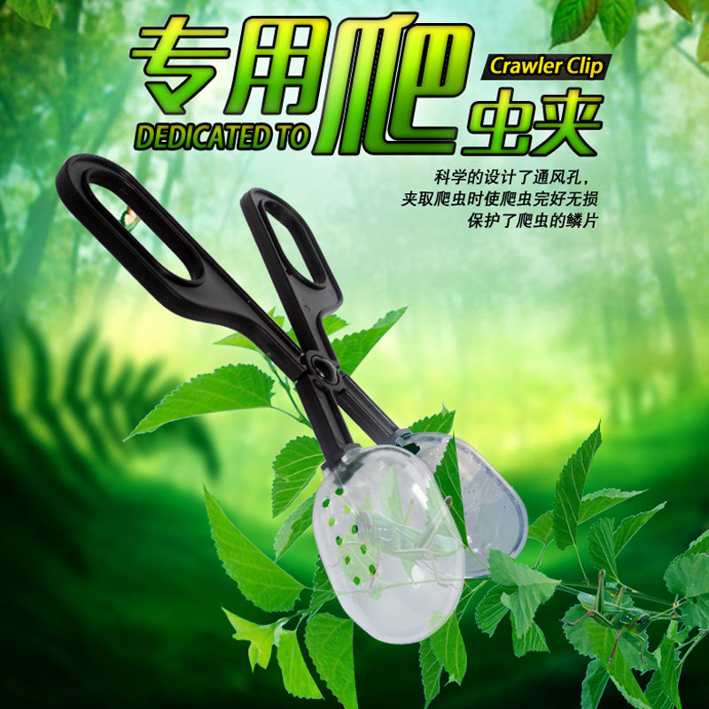 Reptile Insect Trapeze Living Crickets Dubia Bread Worm Barley Bug Nippers Nippers Nippers Mane Vigil-Taobao