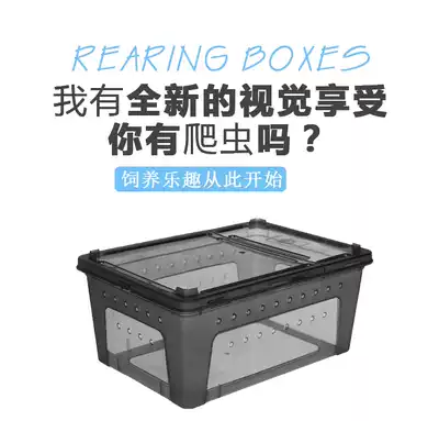 Reptile box silkworm baby feeding box lizard guard horned frog spider insect mini pet box turtle tank