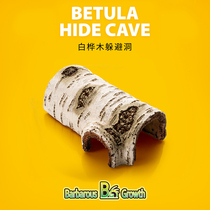 Kuke pet crawl Birch evade lizard guard snake escape house reptile landscape hamster bark Cave
