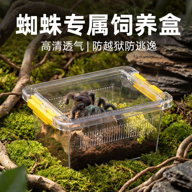Spider-Specific Breathable Anti-Escape Acrylic Breeding Box Brazilian Tarantula Jumping Spider Landscaping Complete Breeding Set Spider-Specific Breathable Anti-Escape Acrylic Breeding Box Brazilian Tarantula Jumping Spider Landscaping Complete Breeding Set