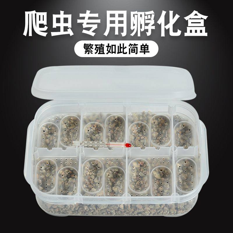 DJ Climbing and Incubation Box Incubators Egg Patron Mane Lion Liza Toy Snake Hatchery Utortoise Egg Incubators