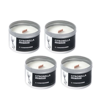 Портативная установка из железа -коррек.